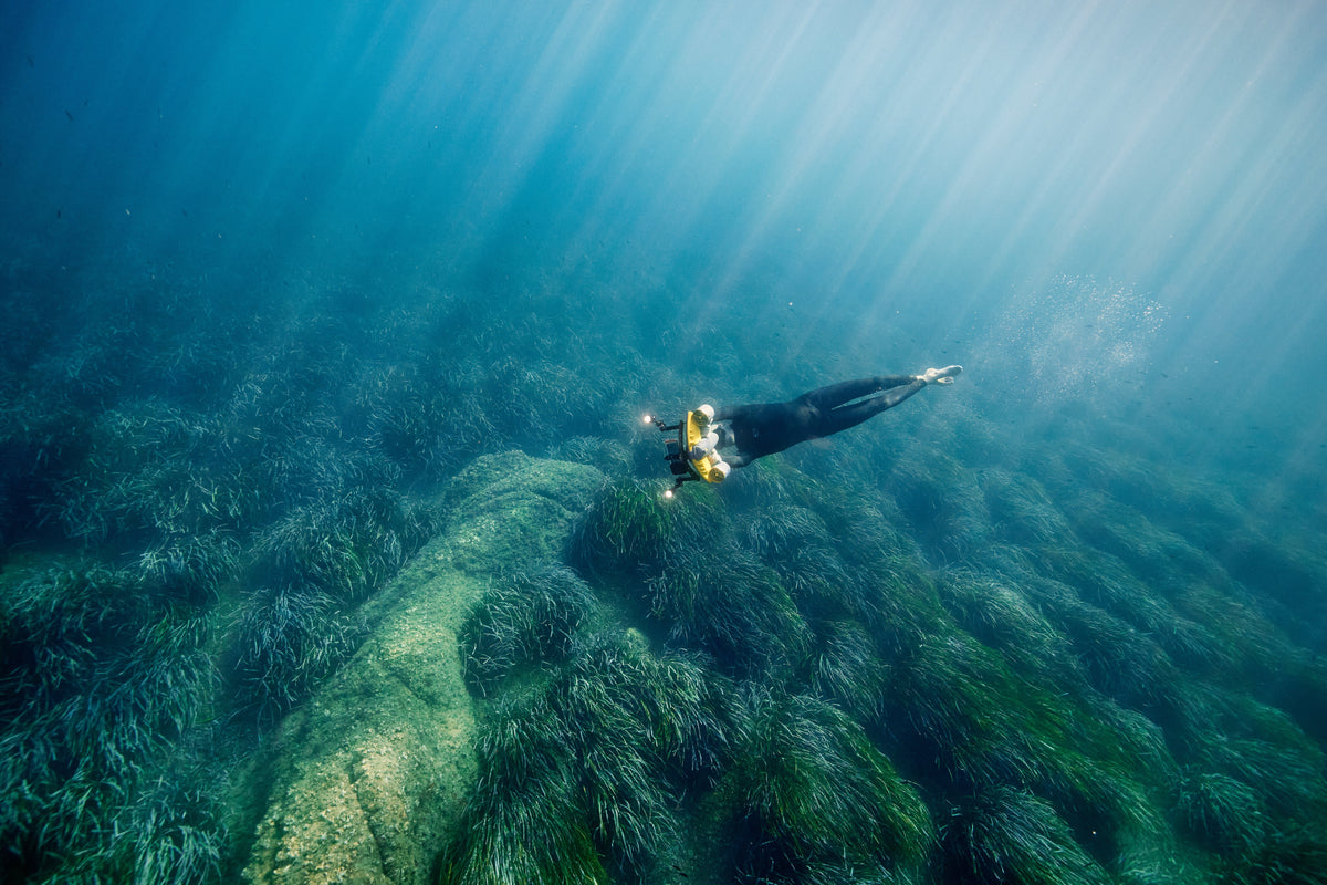 SUBLUE Navbow+ Underwater Scooter – Dual-Motor Dive Propulsion with Real-Time Dive Data
