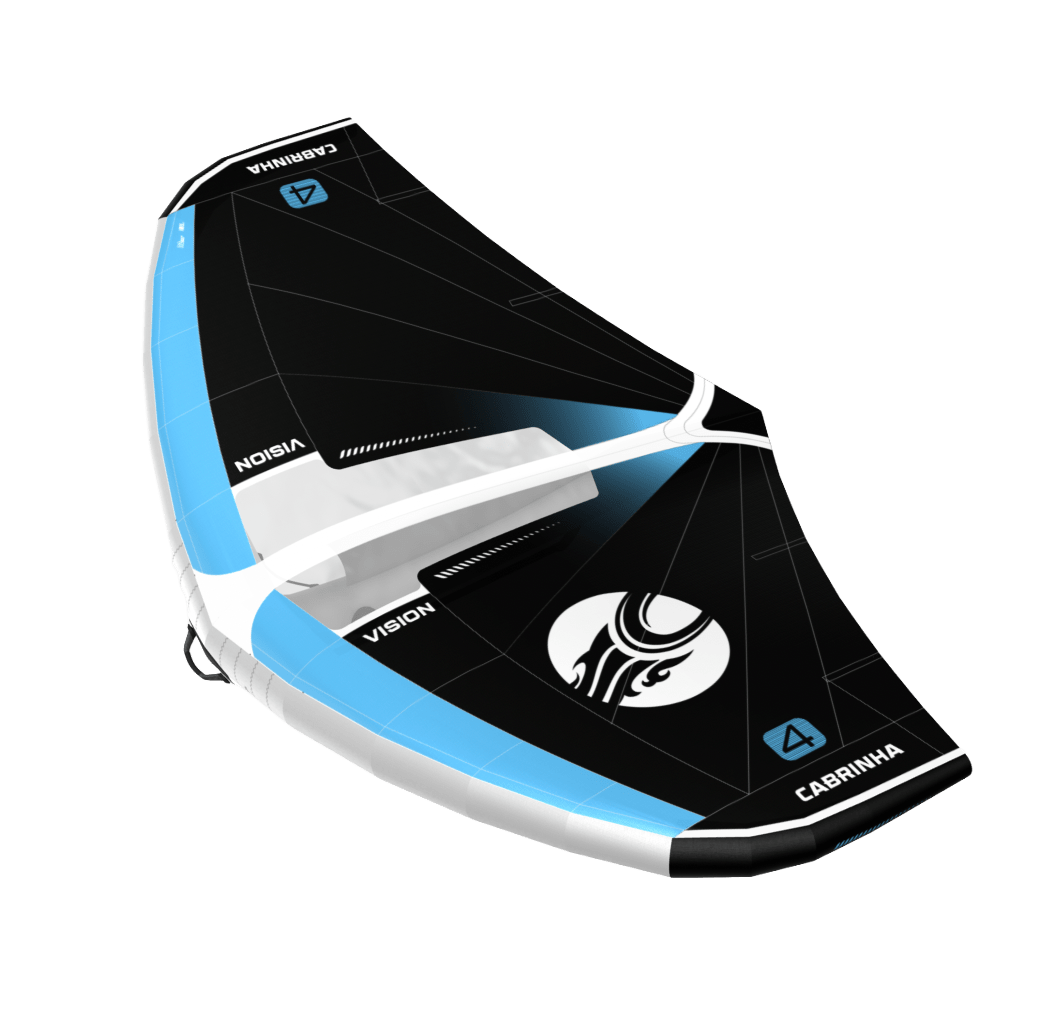 2026 VISION - Aloha Swim Wellness