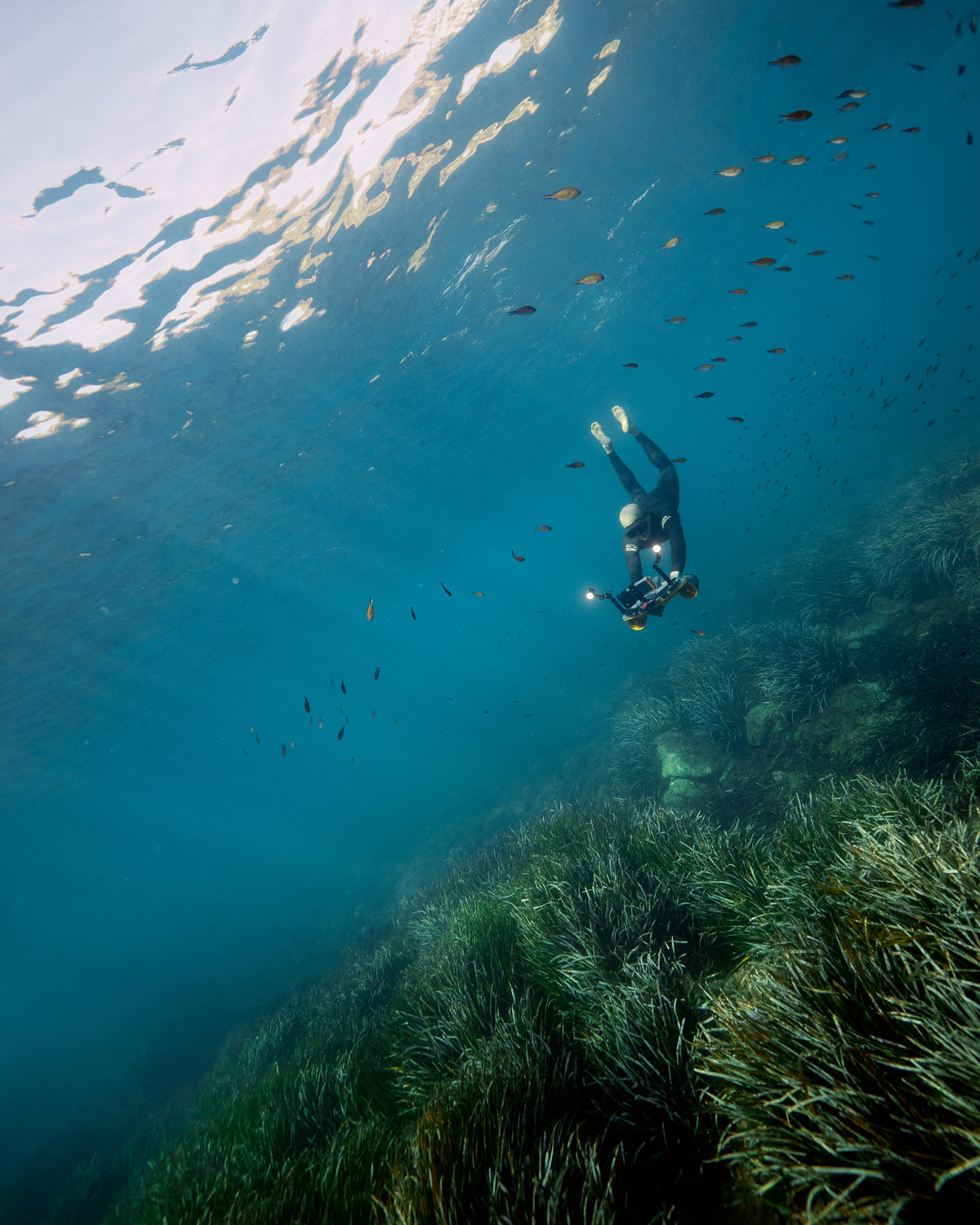 SUBLUE Navbow+ Underwater Scooter – Dual-Motor Dive Propulsion with Real-Time Dive Data