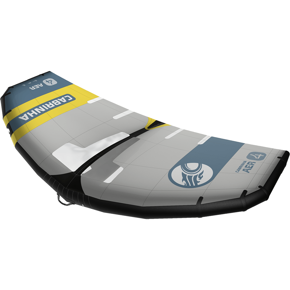 2025 AER - Aloha Swim Wellness