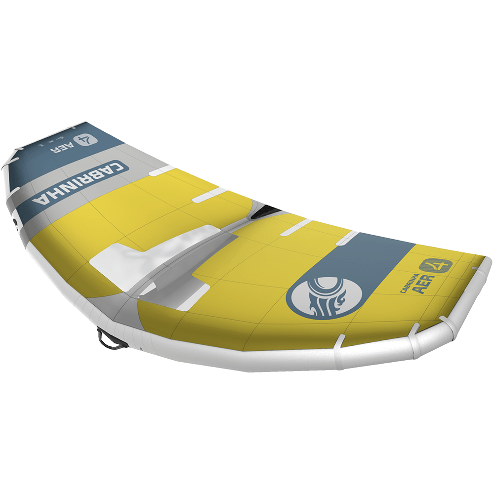 2025 AER - Aloha Swim Wellness