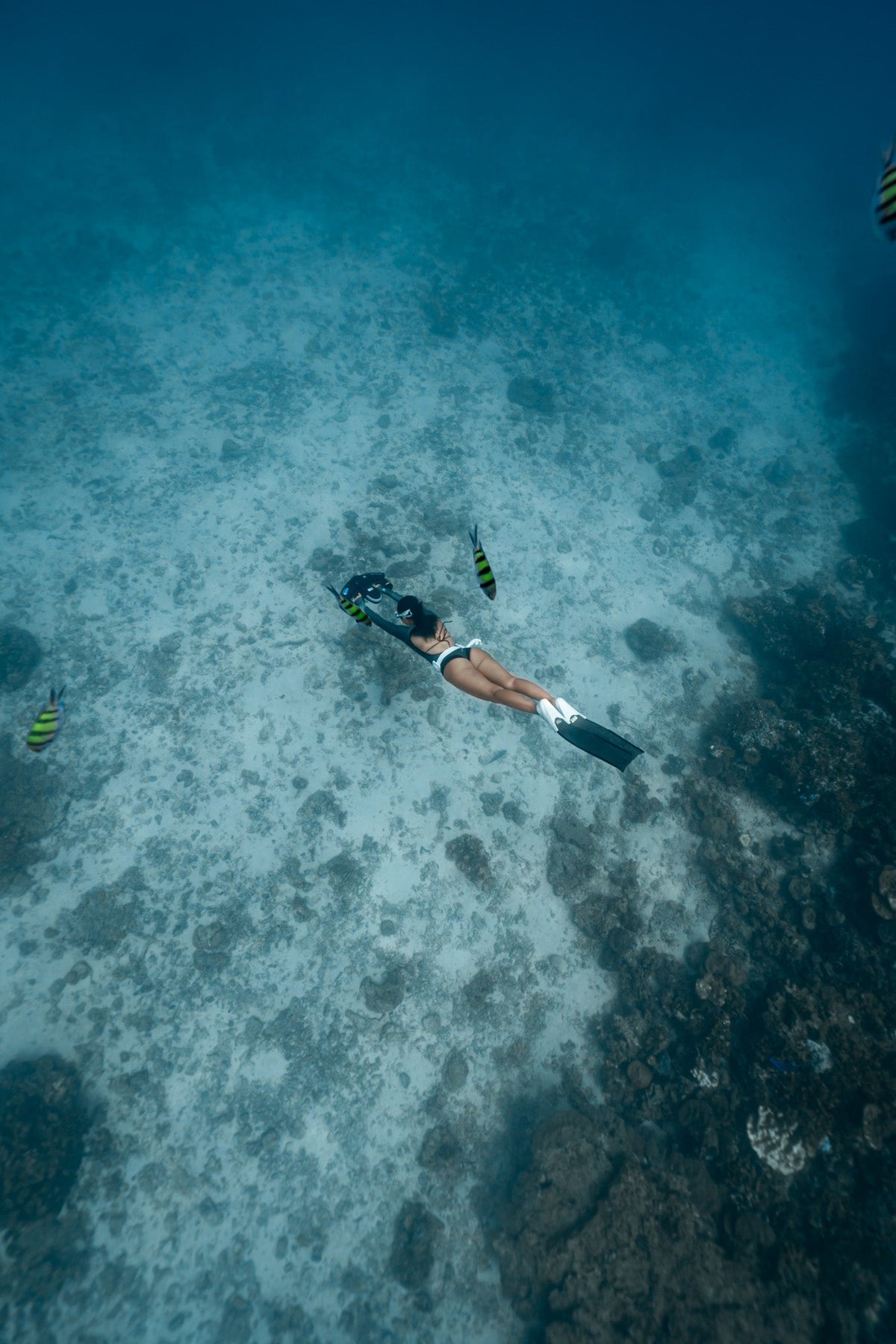 Navbow Underwater Scooter – Dual-Motor Dive Propulsion with OLED Display & 40m Depth Rating